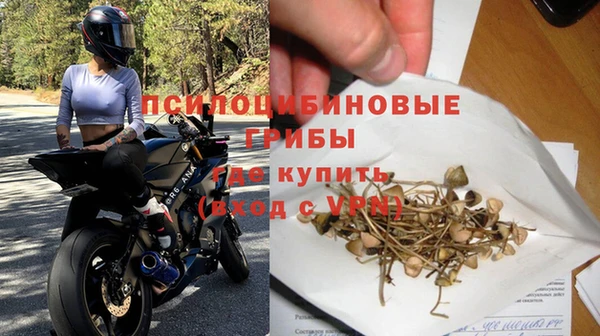 дживик Калининец