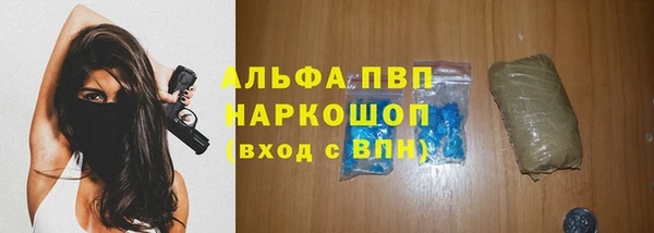 дживик Калининец