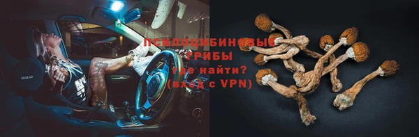 бошки Александровское
