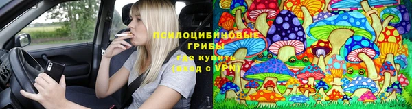 дживик Калининец