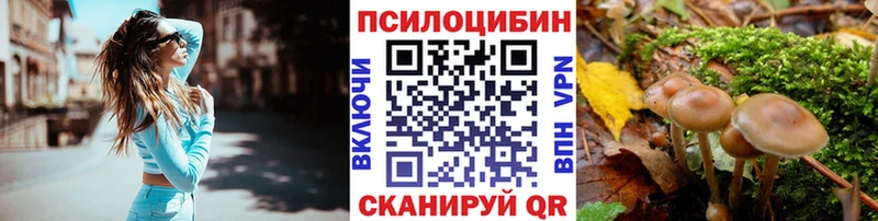 Псилоцибиновые грибы GOLDEN TEACHER Купить где Пошехонье
