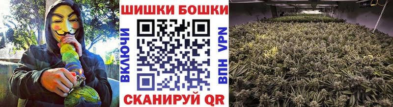 Конопля гибрид Купить закладки Пошехонье